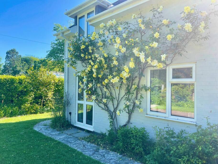 Seaside Spacious Cosy Cottage On The Edge Of The New Forest Lymington Exterior photo